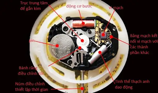 Cấu tạo máy đồng hồ pin QuartZ 